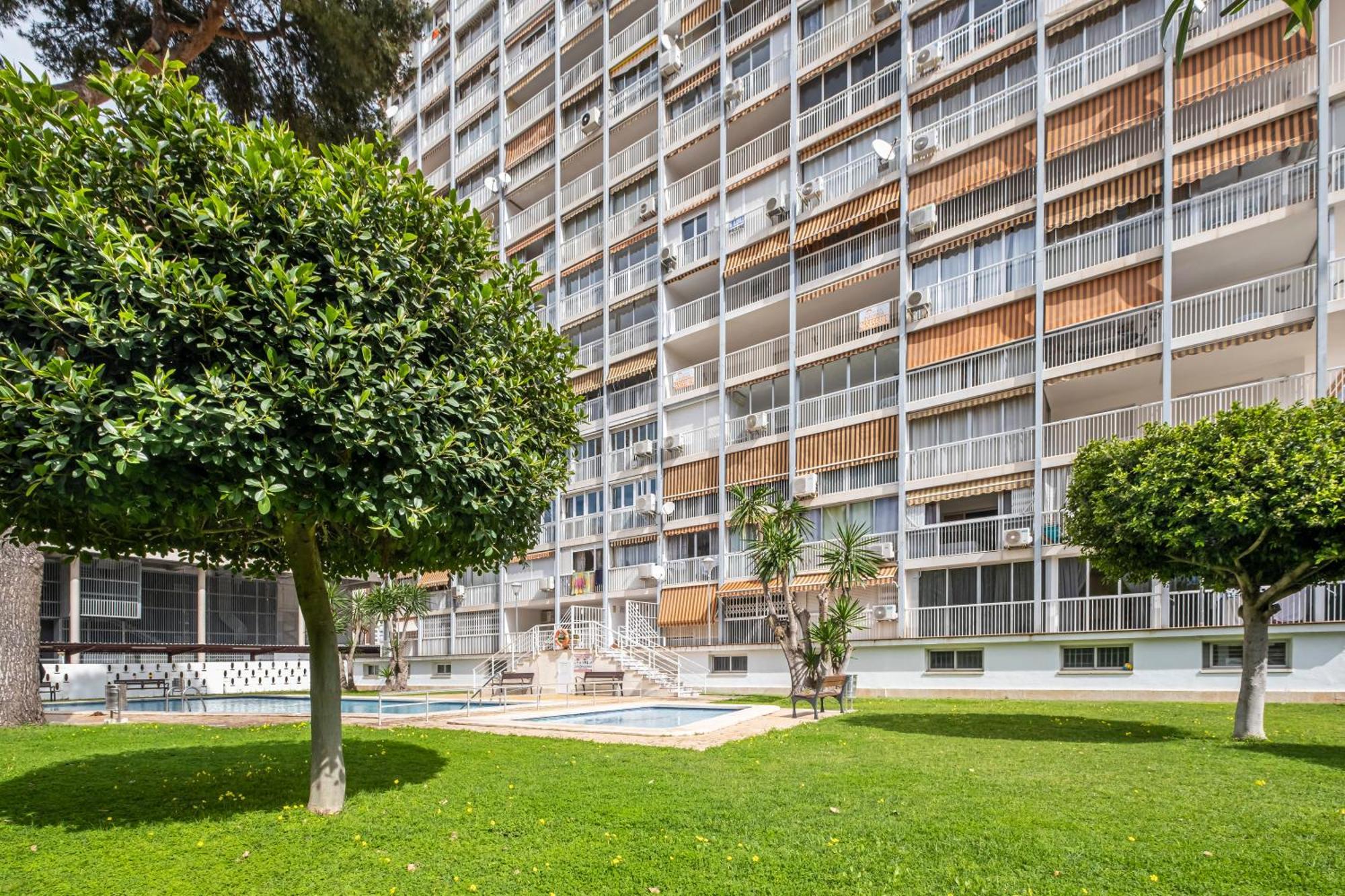 Albatros 2-6 Estudio Levante Beach 베니돔 외부 사진